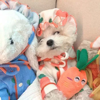 Os novos plugins coreano primavera bonito cenoura pijama terno cão para casa o serviço de pet, roupas, chapéu, terno pequeno cão de roupas