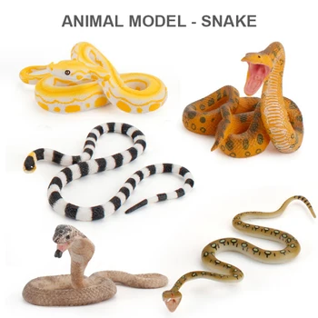 Novo Modelo Animal De Simulação Selvagens, Répteis Modelo Cognitivo De Crianças Cobra De Brinquedo, Biologia Cognitiva Cobra De Brinquedo