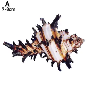 Natural Preto Milhares de Lado Concha Unicórnio Caracol do Aquário dos Peixes do Espécime Casa Tanques de Enfeites de Decoração E5A8