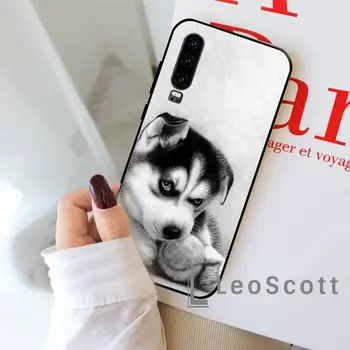 Animal Husky filhote de Cachorro bonito Cão Caso De Telefone Huawei honor Mate P 9 10 20 30 40 Pro 10i 7 8 x Lite nova 5t